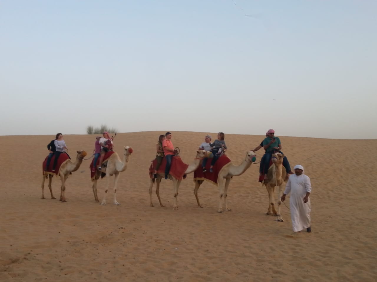 Camel trekking - Group