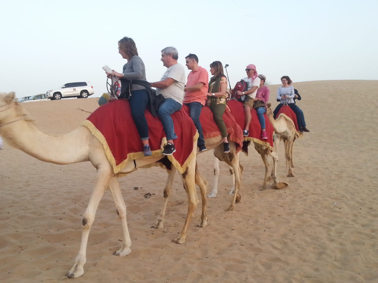 A safari with a camel