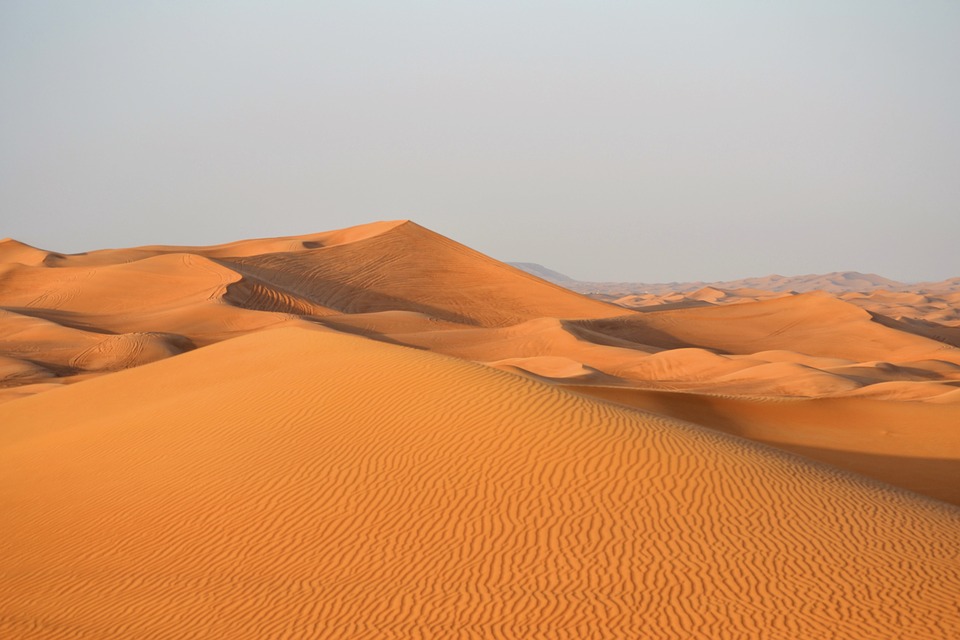  desert