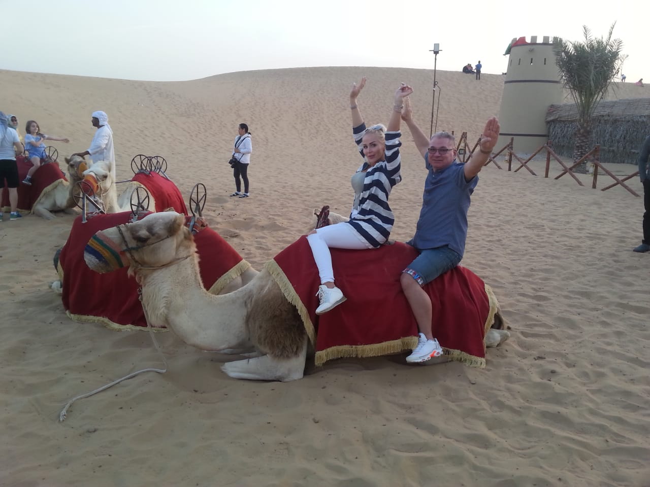 Camel Love