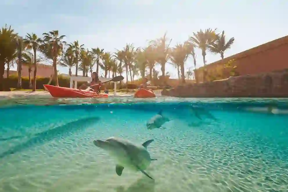 DOLPHIN KAYAK -ATLANTIS