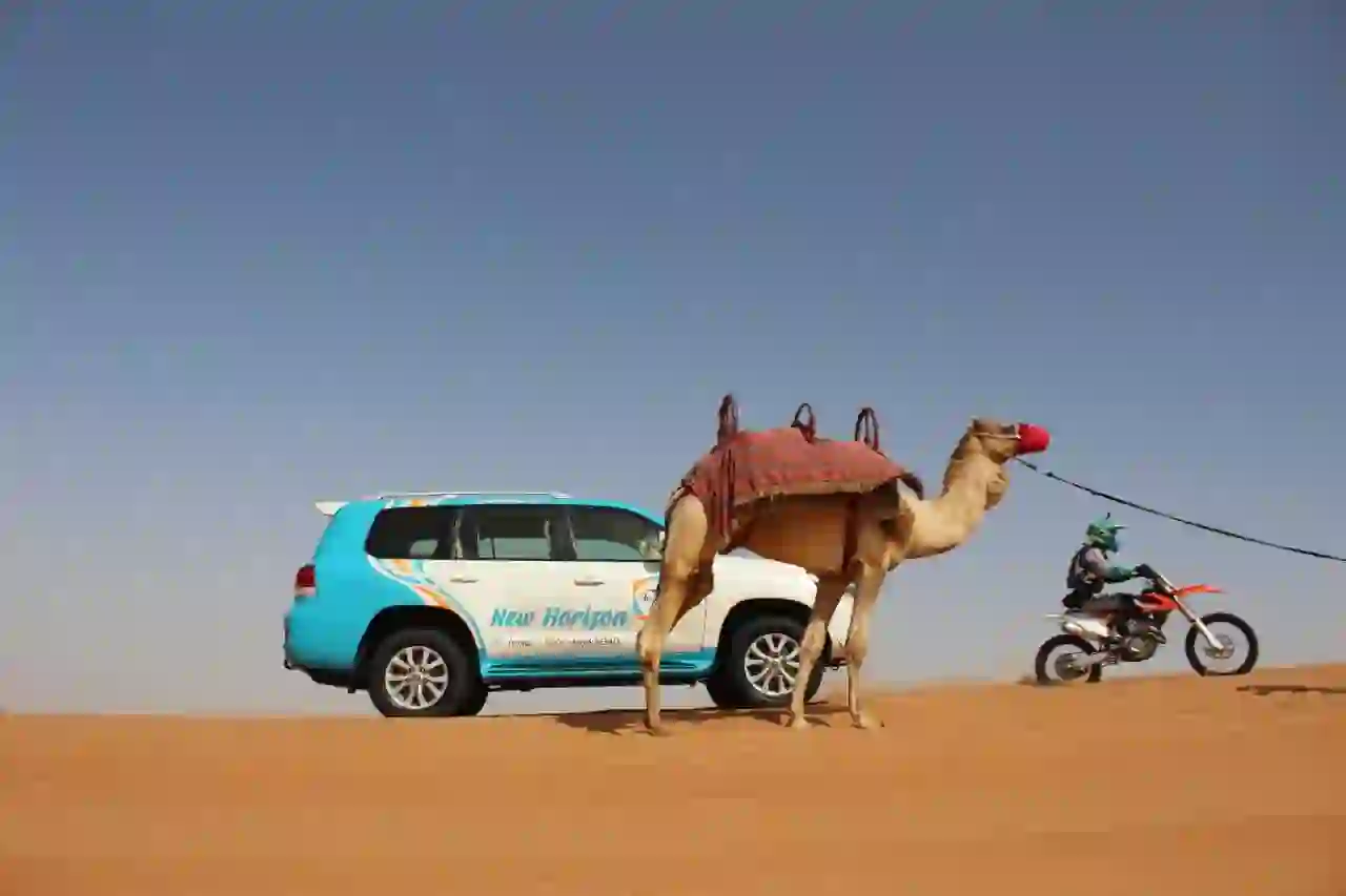 Most Luxurious Desert Experience - All-Inclusive Adventure