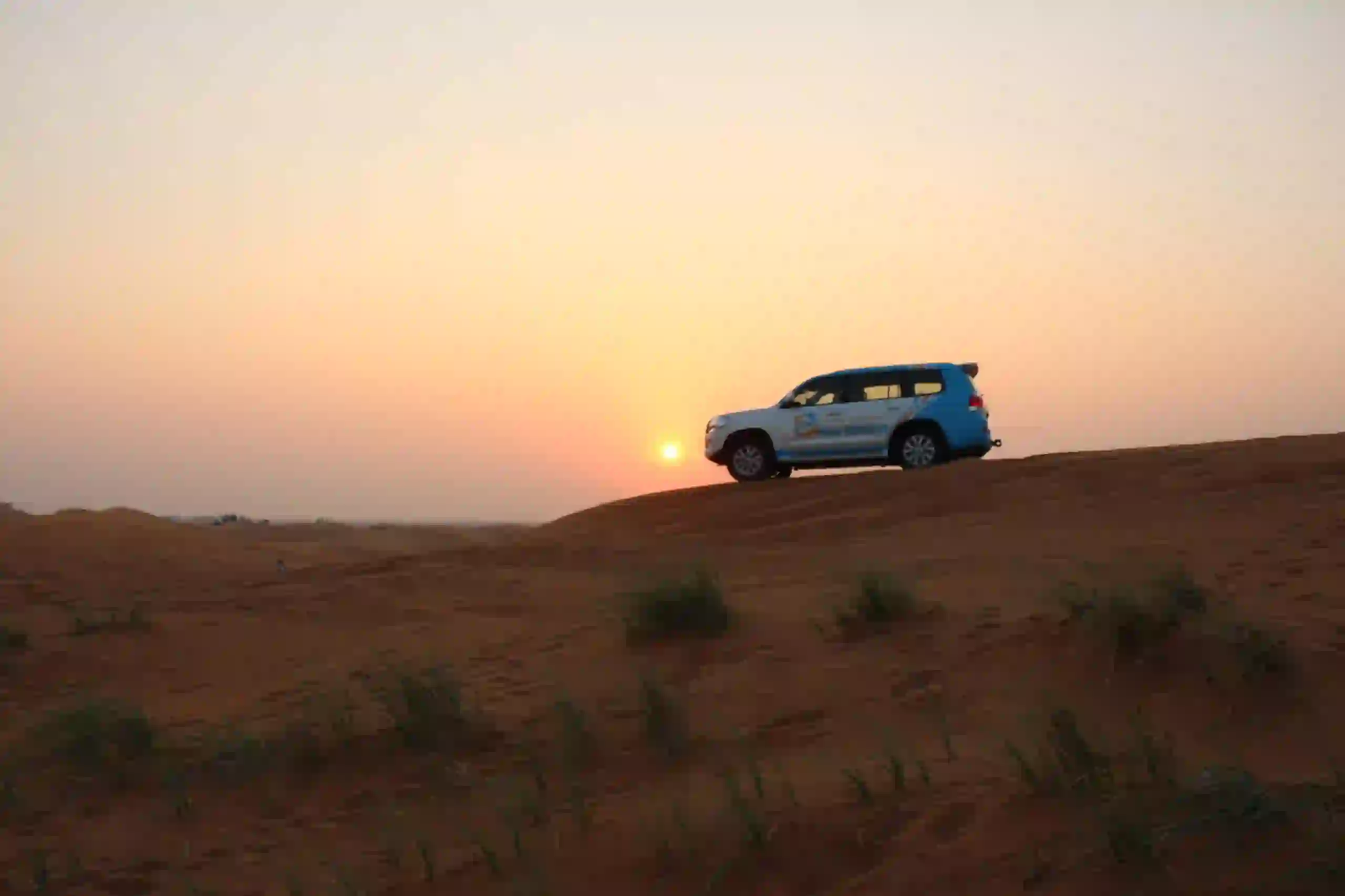 Desert Safari Delight - Affordable Shared Journey