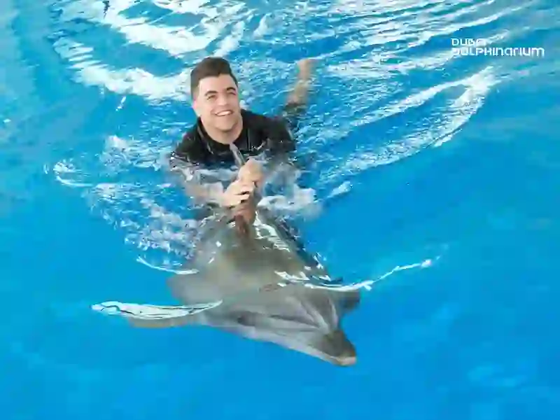 SWIM WITH DOLPHIN  SHALLOW WATER